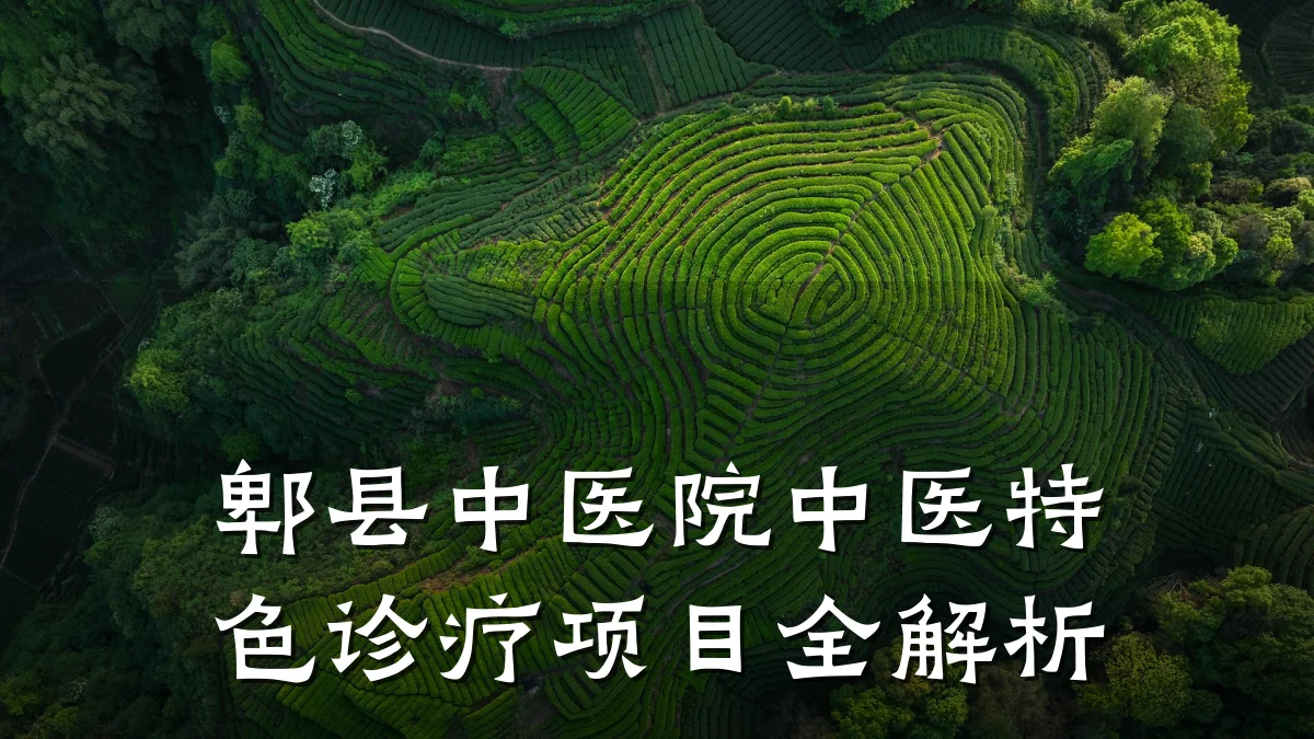 郫县中医院中医特色诊疗项目全解析