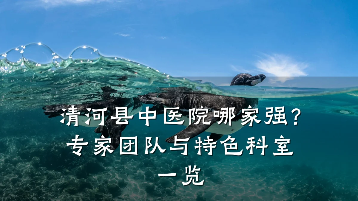 清河县中医院哪家强?专家团队与特色科室一览