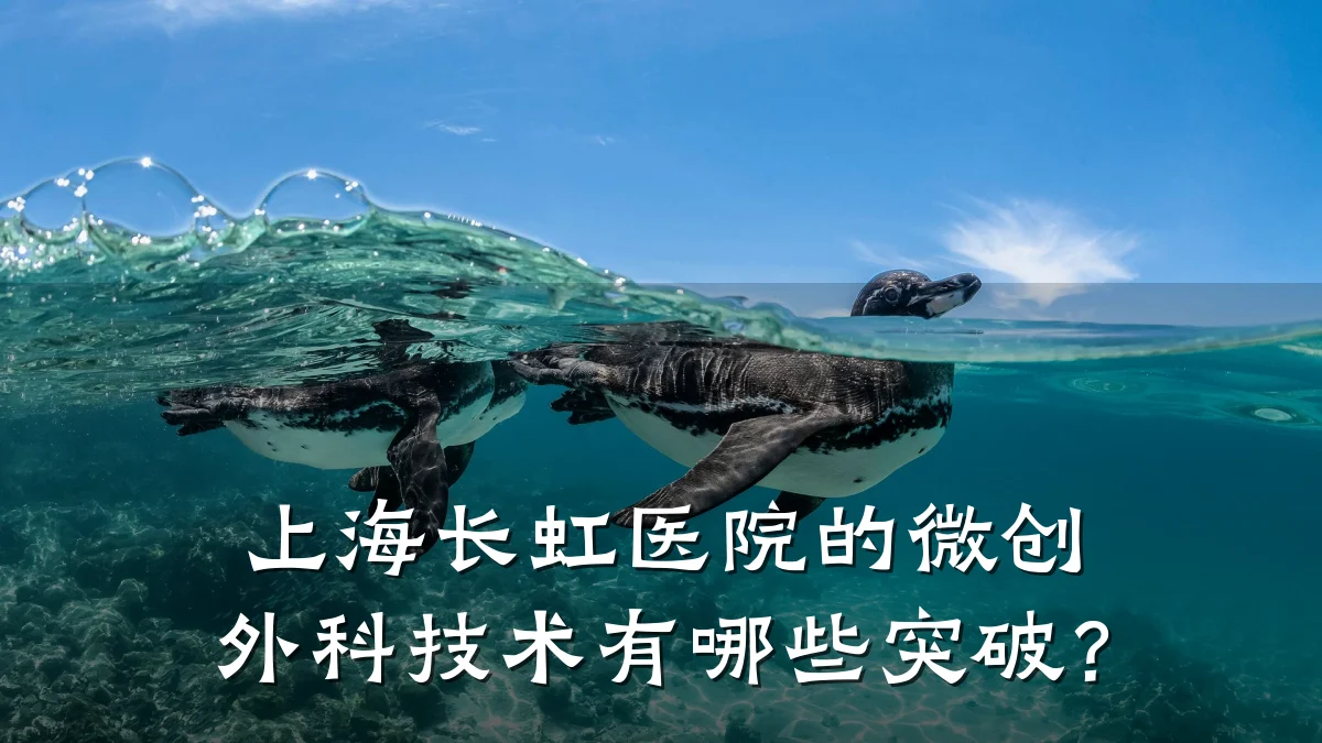 上海长虹医院的微创外科技术有哪些突破?