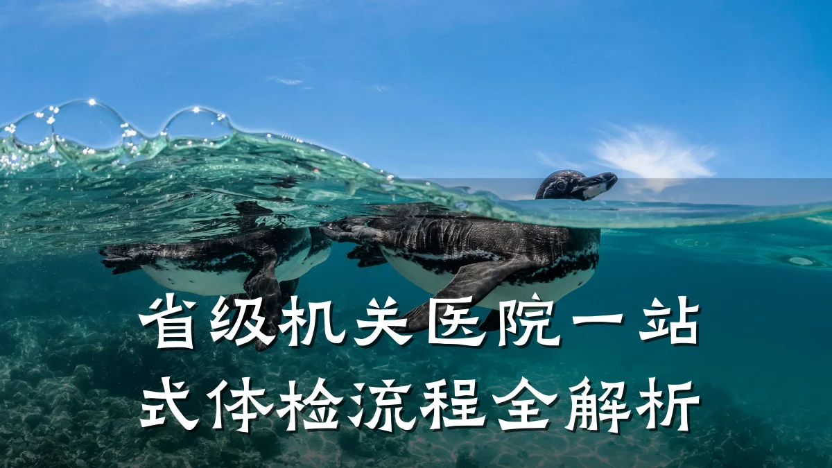 省级机关医院一站式体检流程全解析