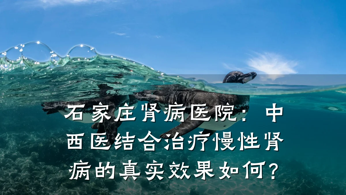 石家庄肾病医院:中西医结合治疗慢性肾病的真实效果如何?