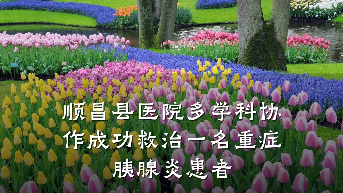 顺昌县医院多学科协作成功救治一名重症胰腺炎患者