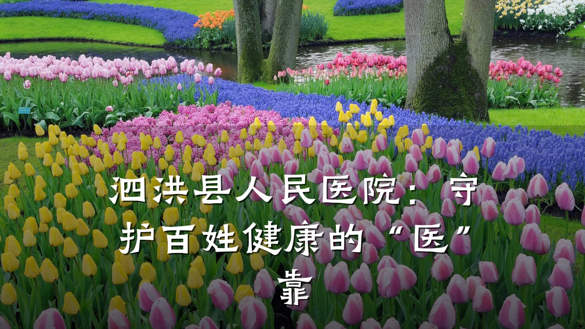 泗洪县人民医院:守护百姓健康的“医”靠