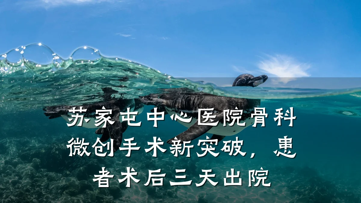 苏家屯中心医院骨科微创手术新突破,患者术后三天出院
