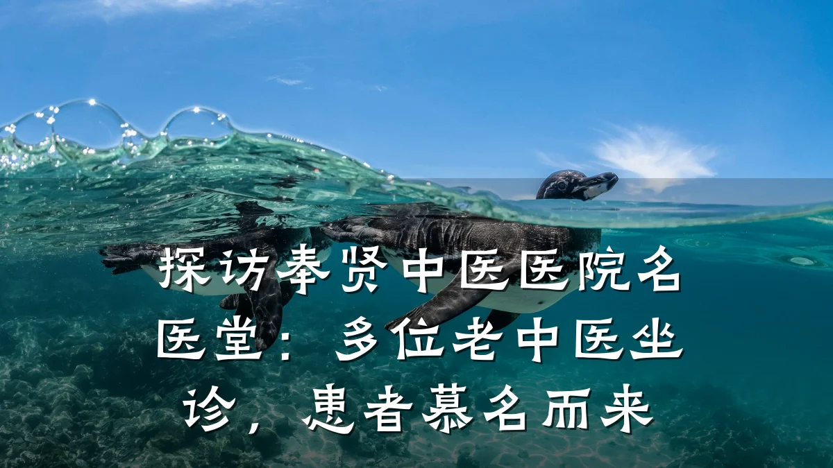 探访奉贤中医医院名医堂:多位老中医坐诊,患者慕名而来