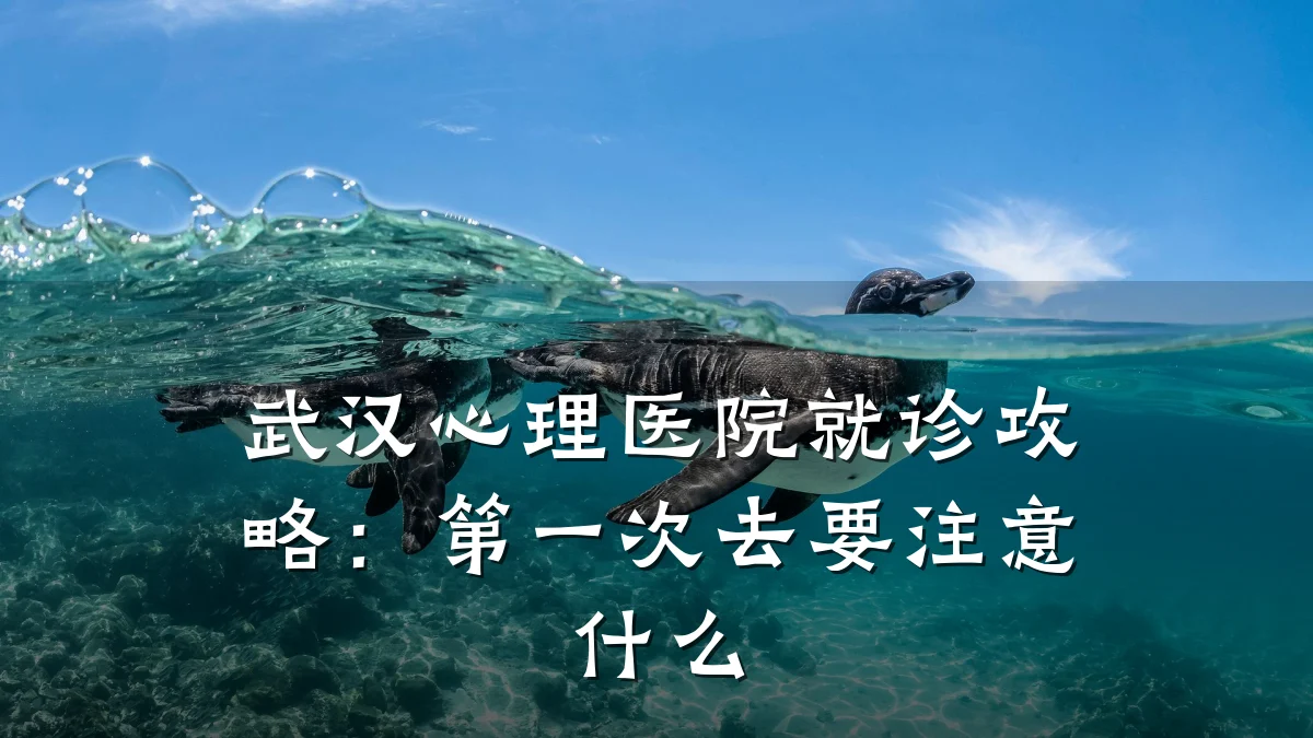 武汉心理医院就诊攻略:第一次去要注意什么