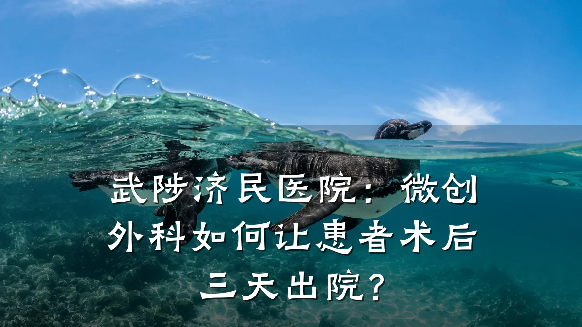 武陟济民医院:微创外科如何让患者术后三天出院?