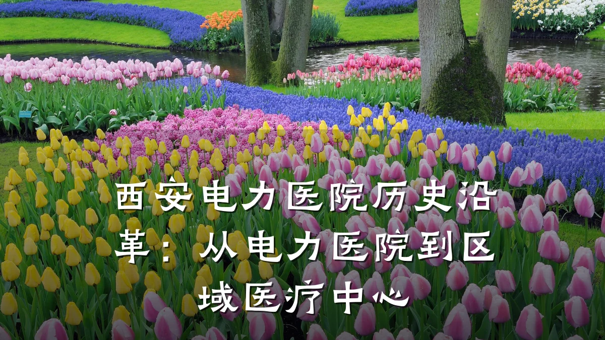 西安电力医院历史沿革:从电力医院到区域医疗中心
