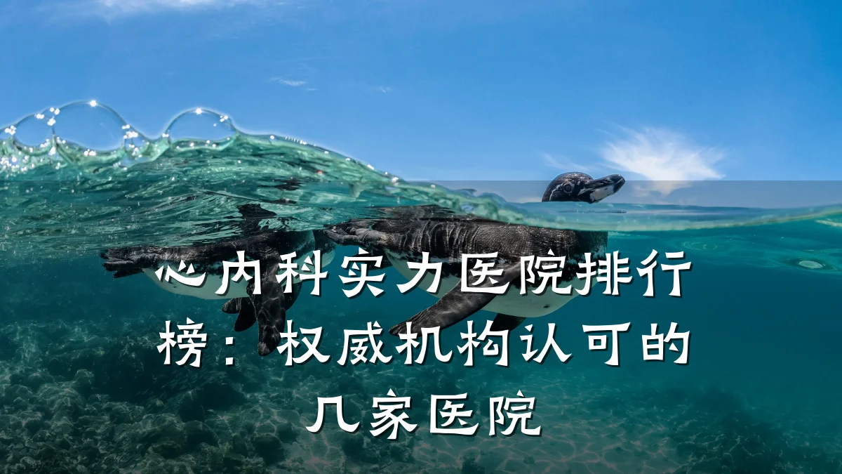 心内科实力医院排行榜:权威机构认可的几家医院