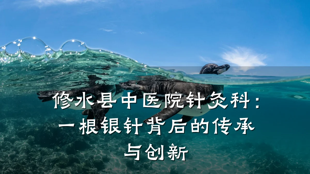 修水县中医院针灸科:一根银针背后的传承与创新