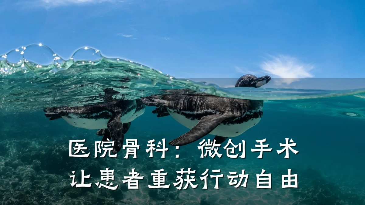 医院骨科:微创手术让患者重获行动自由