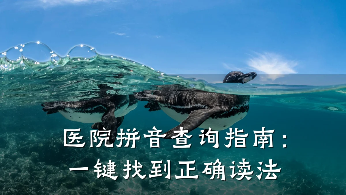 医院拼音查询指南:一键找到正确读法