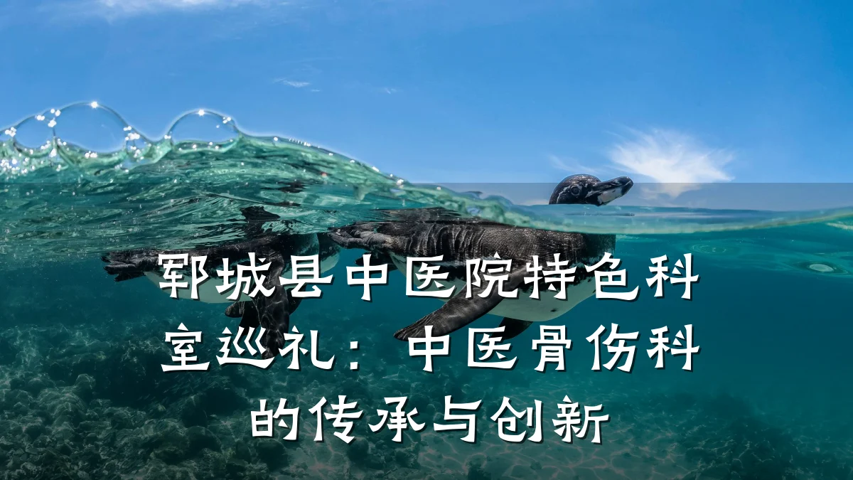 郓城县中医院特色科室巡礼:中医骨伤科的传承与创新
