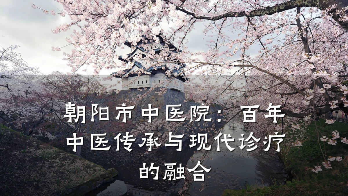 朝阳市中医院:百年中医传承与现代诊疗的融合