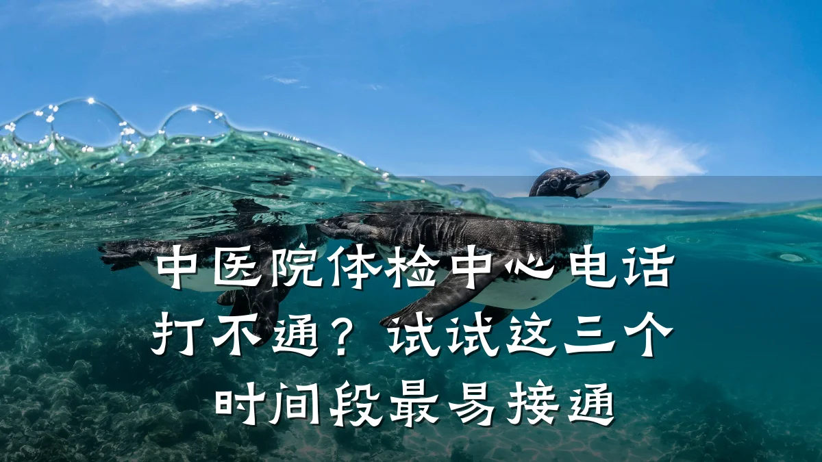 中医院体检中心电话打不通?试试这三个时间段最易接通