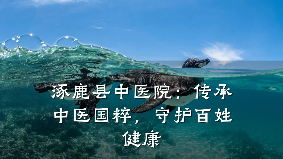 涿鹿县中医院:传承中医国粹,守护百姓健康