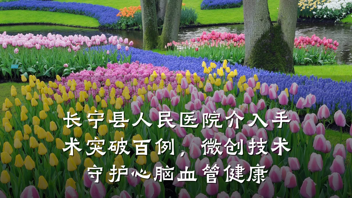长宁县人民医院介入手术突破百例,微创技术守护心脑血管健康