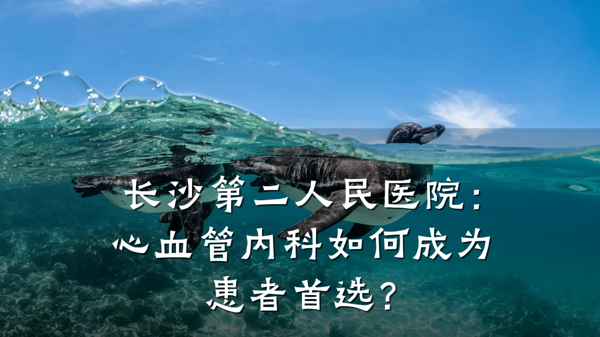 长沙第二人民医院：心血管内科如何成为患者首选？