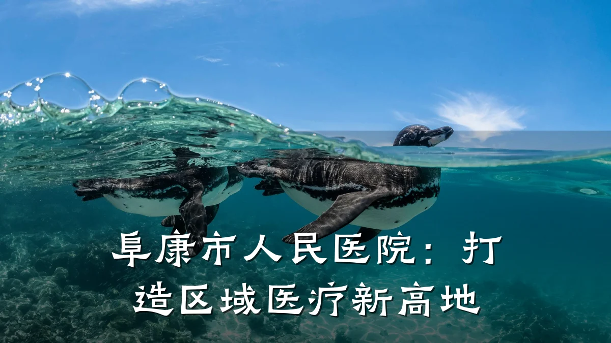 阜康市人民医院:打造区域医疗新高地