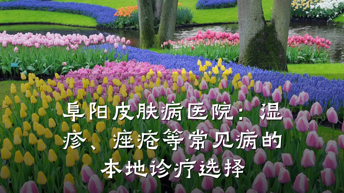 阜阳皮肤病医院:湿疹、痤疮等常见病的本地诊疗选择