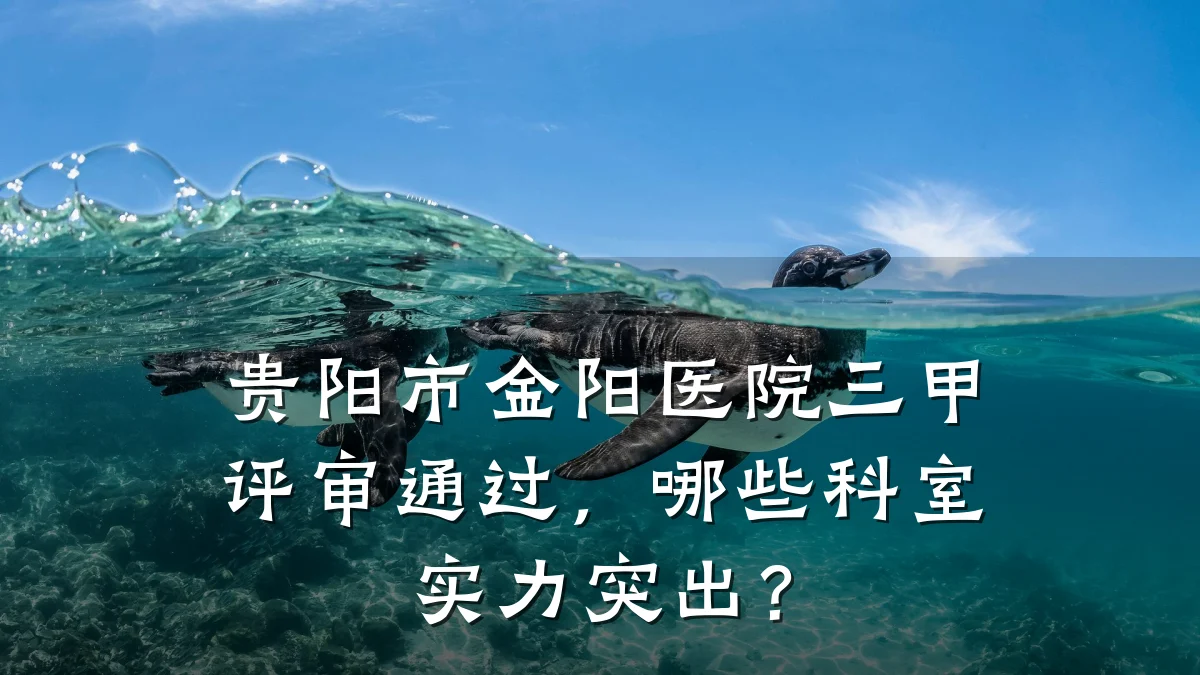 贵阳市金阳医院三甲评审通过,哪些科室实力突出?