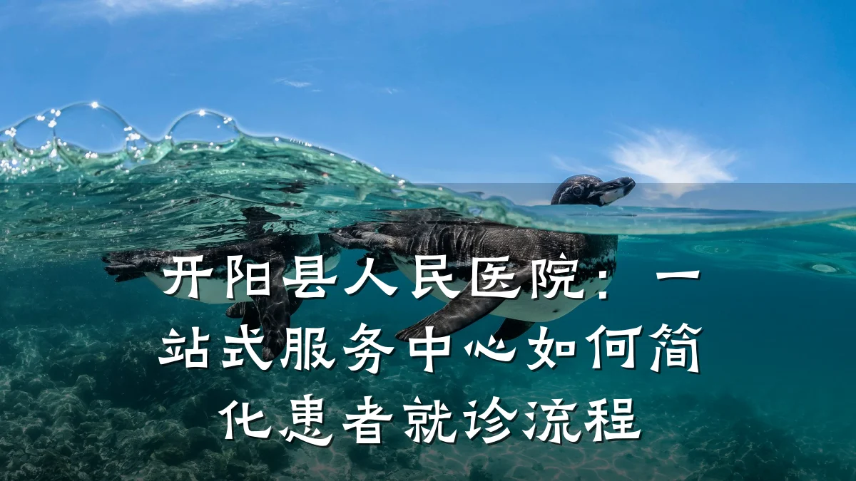 开阳县人民医院:一站式服务中心如何简化患者就诊流程