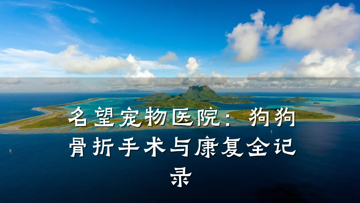 名望宠物医院:狗狗骨折手术与康复全记录