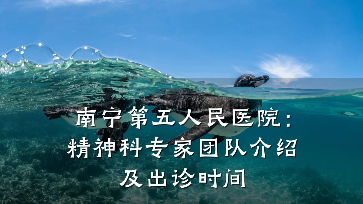 南宁第五人民医院:精神科专家团队介绍及出诊时间