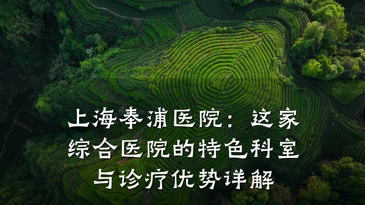 上海奉浦医院：这家综合医院的特色科室与诊疗优势详解