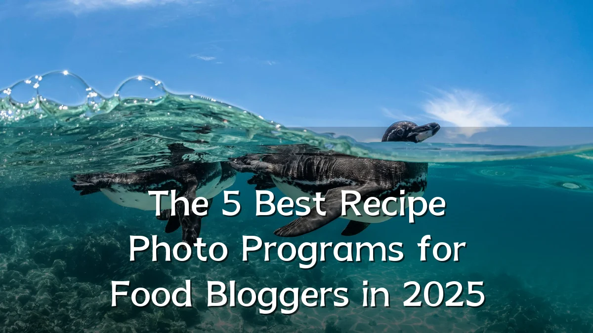 The 5 Best Recipe Photo Programs for Food Bloggers in 2025