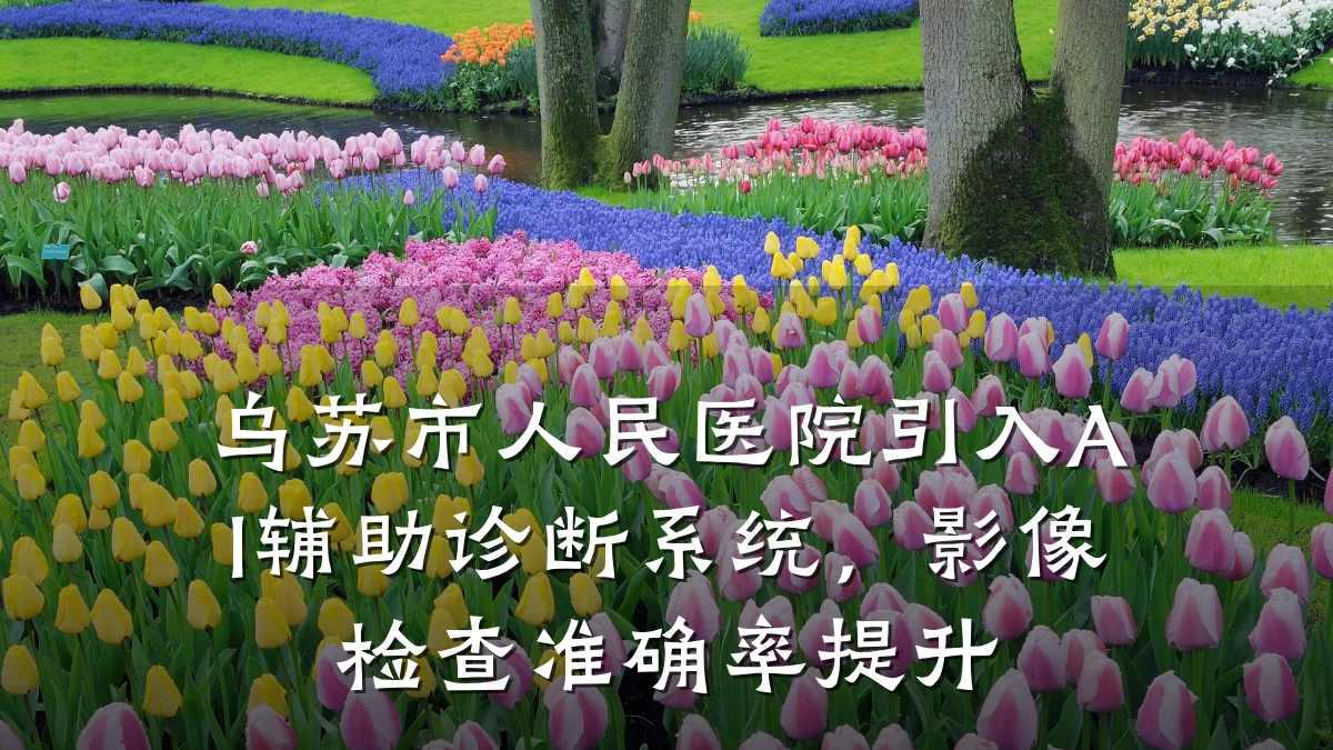 乌苏市人民医院引入AI辅助诊断系统,影像检查准确率提升