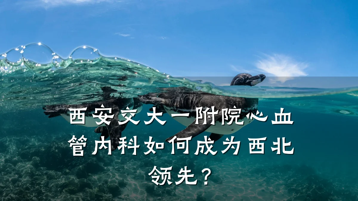 西安交大一附院心血管内科如何成为西北领先?