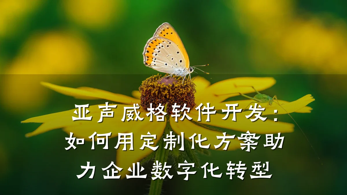 亚声威格软件开发：如何用定制化方案助力企业数字化转型