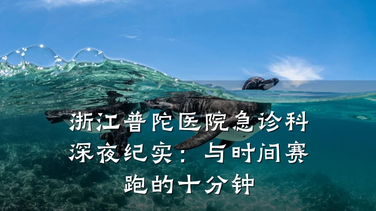 浙江普陀医院急诊科深夜纪实:与时间赛跑的十分钟