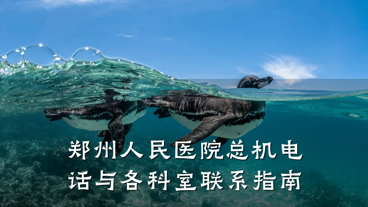 郑州人民医院总机电话与各科室联系指南