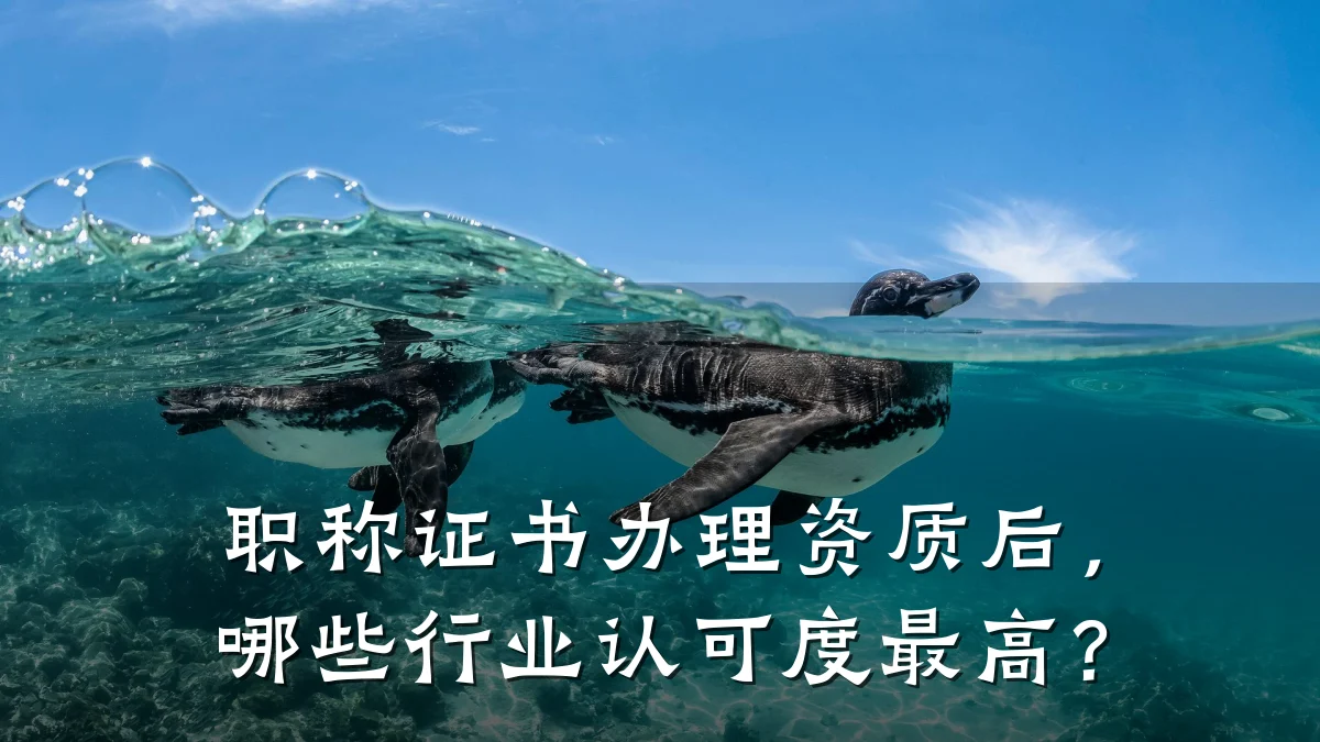 职称证书办理资质后,哪些行业认可度最高?