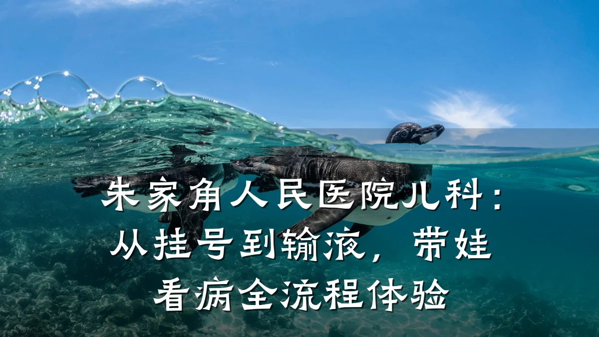 朱家角人民医院儿科:从挂号到输液,带娃看病全流程体验
