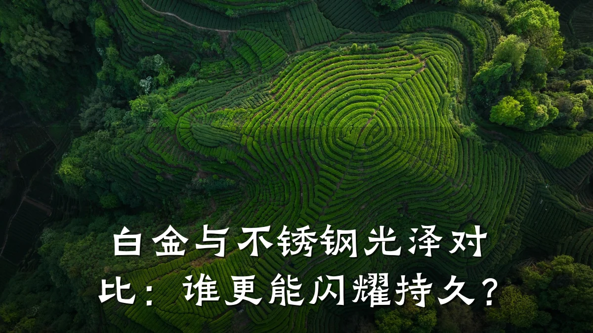 白金与不锈钢光泽对比：谁更能闪耀持久？