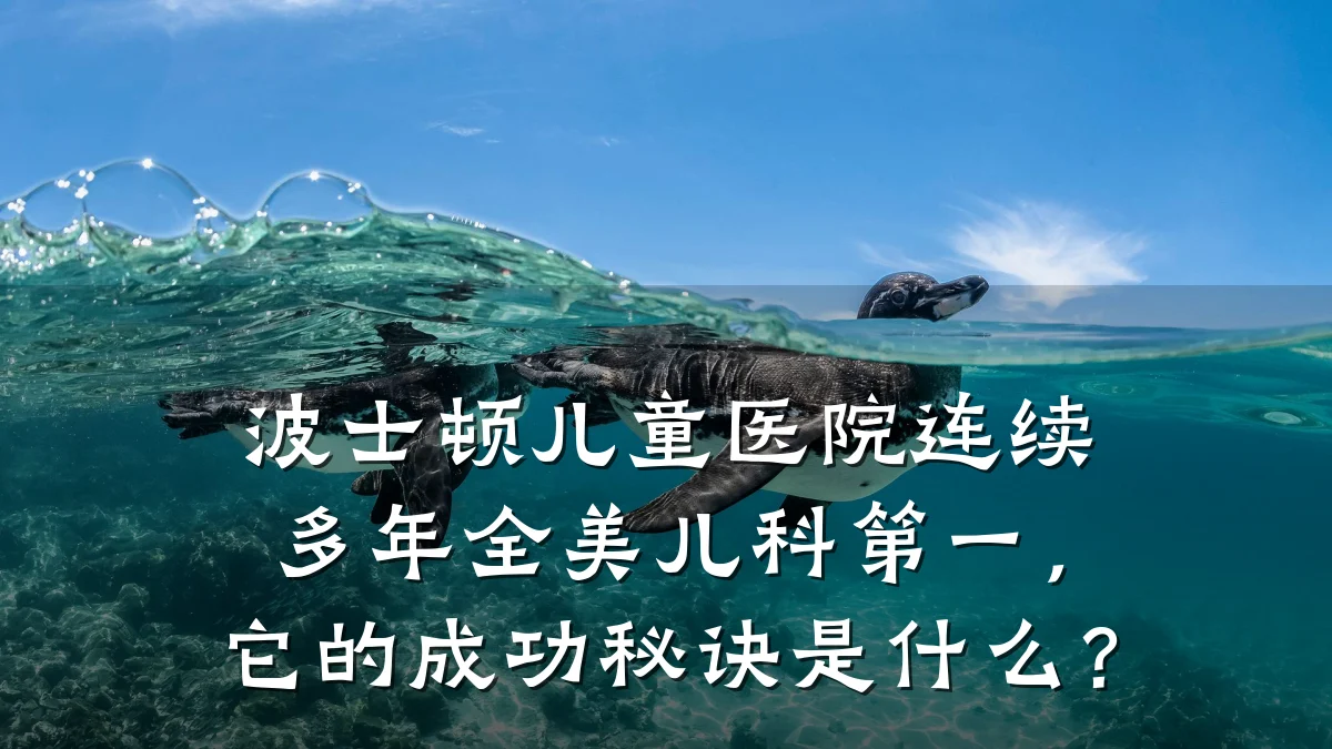 波士顿儿童医院连续多年全美儿科第一,它的成功秘诀是什么?