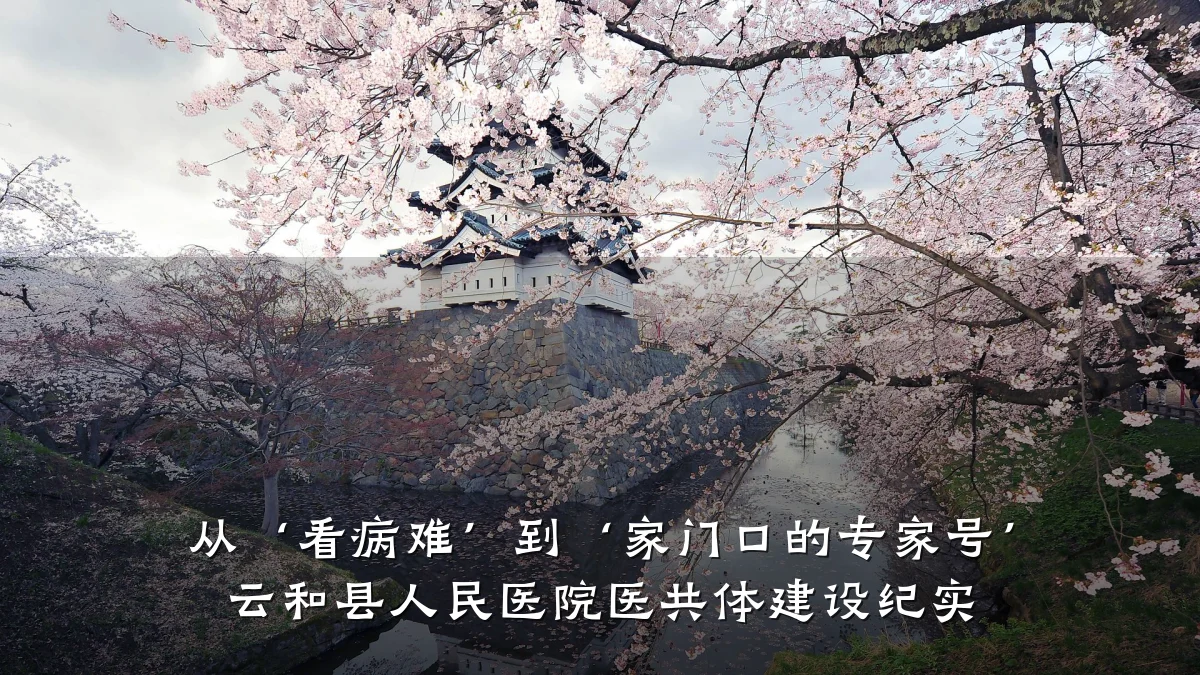 从‘看病难’到‘家门口的专家号’ 云和县人民医院医共体建设纪实