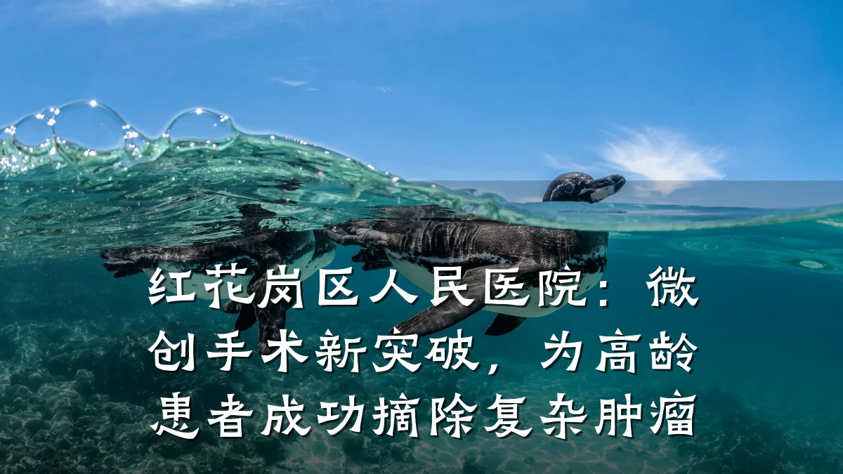 红花岗区人民医院:微创手术新突破,为高龄患者成功摘除复杂肿瘤