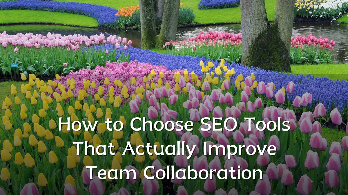 How to Choose SEO Tools That Actually Improve Team Collaboration