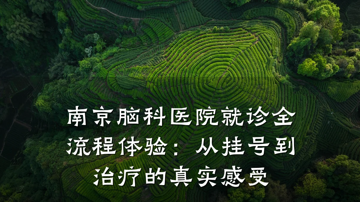 南京脑科医院就诊全流程体验:从挂号到治疗的真实感受