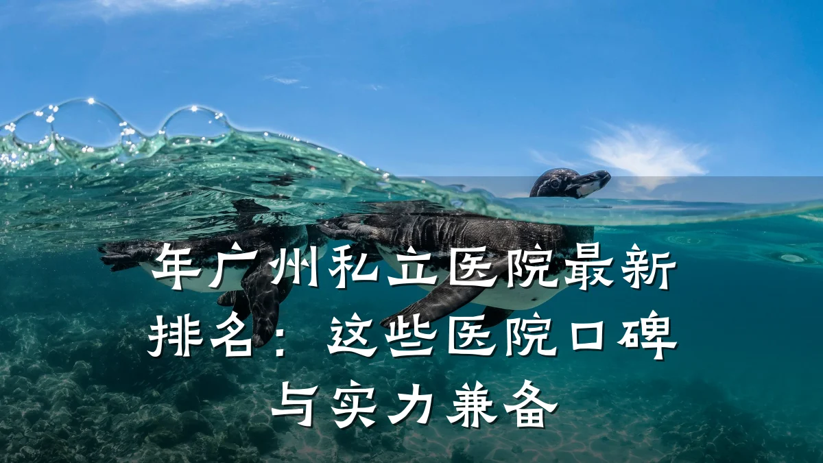 年广州私立医院最新排名:这些医院口碑与实力兼备