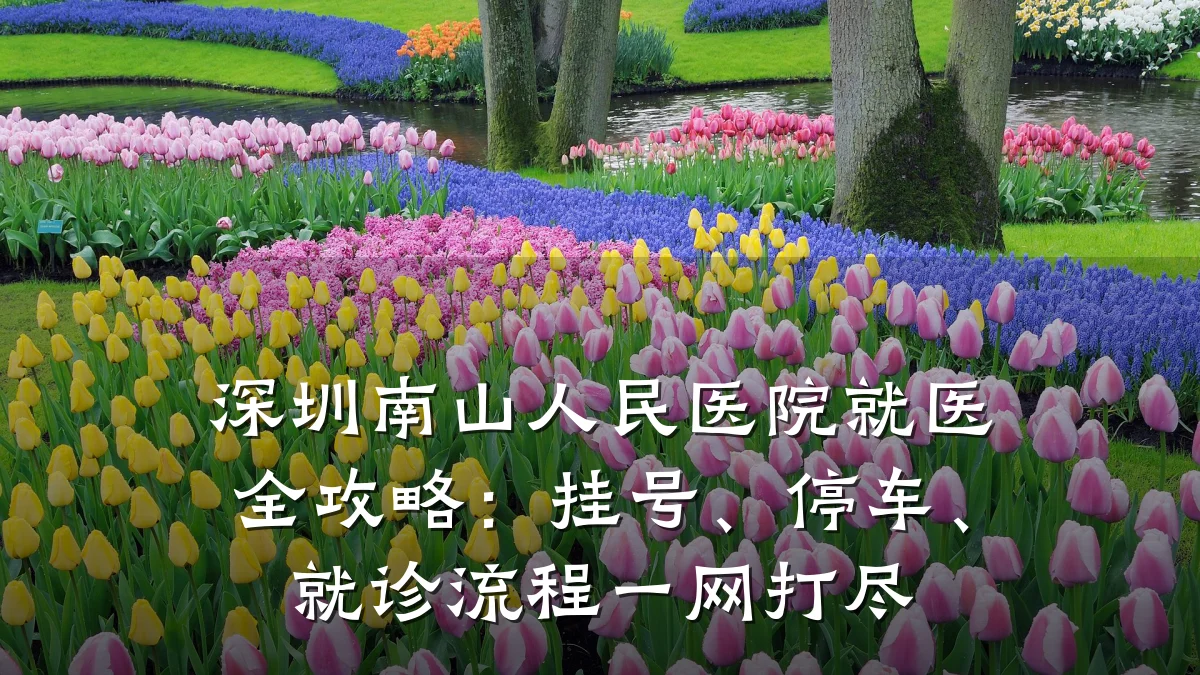 深圳南山人民医院就医全攻略：挂号、停车、就诊流程一网打尽
