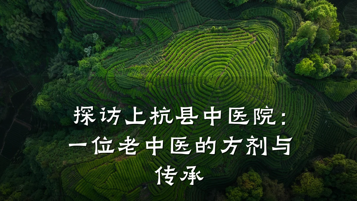 探访上杭县中医院:一位老中医的方剂与传承