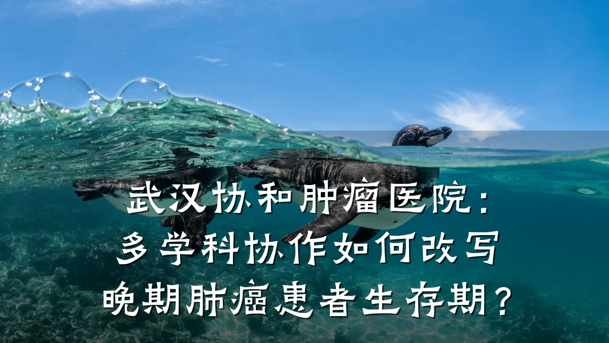 武汉协和肿瘤医院：多学科协作如何改写晚期肺癌患者生存期？