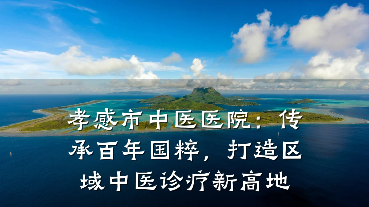 孝感市中医医院：传承百年国粹，打造区域中医诊疗新高地