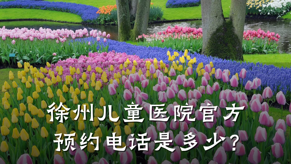 徐州儿童医院官方预约电话是多少?