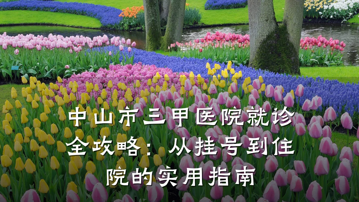 中山市三甲医院就诊全攻略:从挂号到住院的实用指南